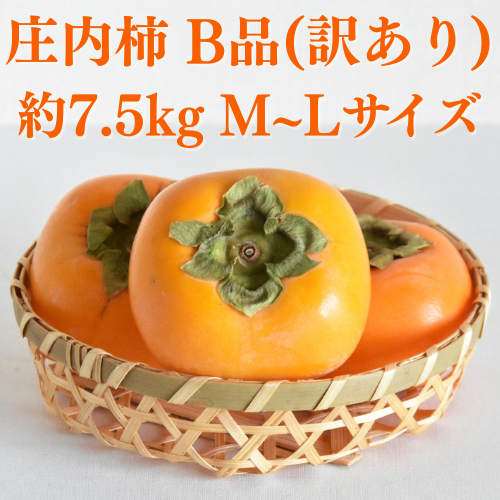 期間限定】庄内柿(平核無柿) B品(訳あり) 約7.5kg M～L(36～40玉